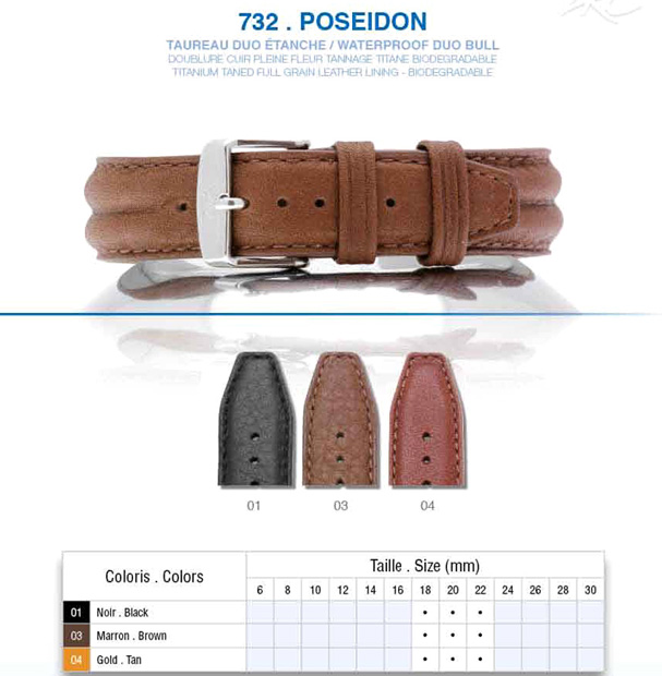 Đồng hồ 732 POSEIDON