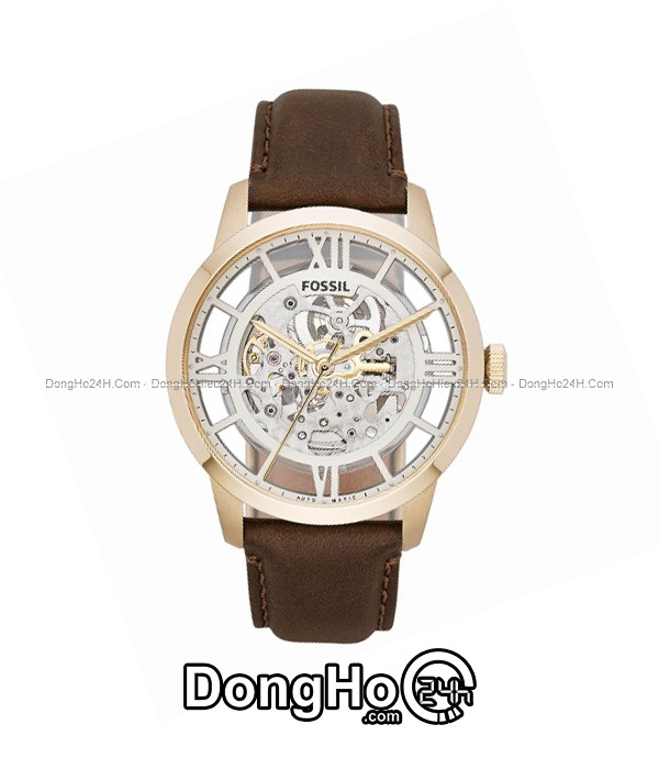 Me3043 fossil new arrivals