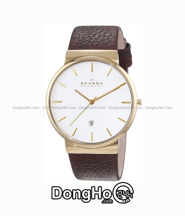 Đồng hồ Đồng hồ Skagen nam Quartz SKW6142