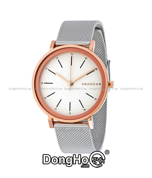 Đồng hồ Đồng hồ Skagen SKW2506 chính hãng 