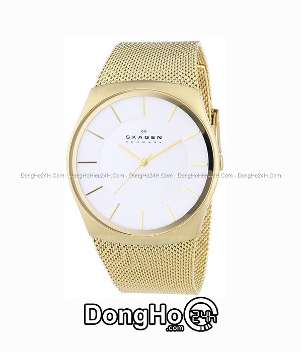 Đồng hồ Đồng hồ Skagen nam Quartz SKW6069